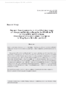 Recent Developments in the Archaeology of the Pomeranian-Prussian borderland in the Early Middle Ages. The case of the settlement complex in Węgry, northern Poland