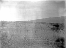 Stanowisko Horodok II : widok na miejsce rozkopywań 1927