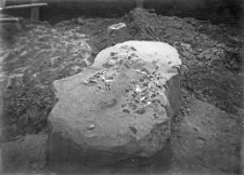 Stanowisko Horodok II : skupienie wyrob&oacute;w krzemiennych