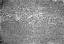 Stanowisko Horodok VII : profil ściany wykopu