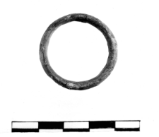 ring (Gródek) - chemical analysis