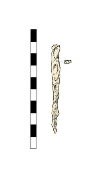 Nail, headless