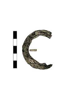 Ringlet, fragment