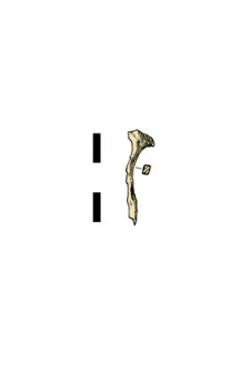 Nail, fragment
