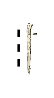 Nail