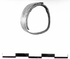 leaf-shaped ring (Miernów) - chemical analysis