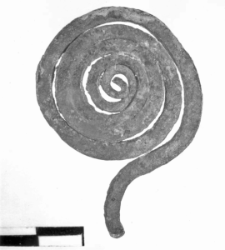 spirally twisted wire disc (Jordanów Śląski) - chemical analysis