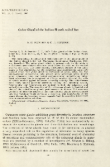 Gular gland of the Indian sheath-tailed bat