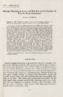 Multiple hunting by lynx and red fox and utilization of prey by some carnivores