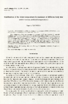 Stabilization of the brain temperature in mammals of different body size under various ambient temperatures