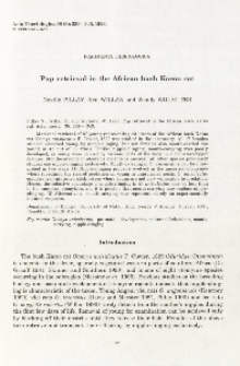 Pup retrieval in the African bush Karoo rat