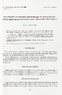 Contribution to variation and homology of crown pattern of the upper molar in Taxidea taxus (Mammalia: Mustelidae)