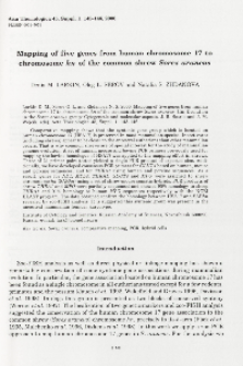 Mapping of five genes human chromosome 17 to chromosome hn of the common shrew Sorex araneus