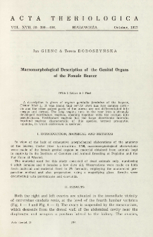 Macromorphological description of the genital organs of the female beaver