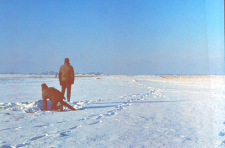 Odł&oacute;w żywych zajęcy przez Koło Łowieckie "Puszcza"