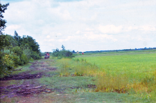 Traktory koszą turzycowisko w Olszowej Drodze (suche lato)