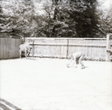 [Żubr Kalif i mieszańce (3)]