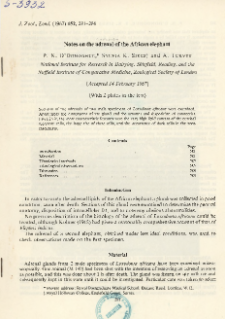 Notes on the adrenal of the African elephant
