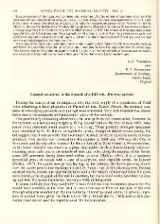 Unusual occurrence in the stomach of a field vole, Microtus agrestis