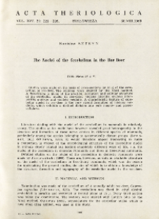 The nuclei of the cerebellum in the roe deer