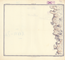 XXXVI - 20 : podolʹsk. gub. : kameneck. uězda