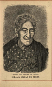 Los Angeles in S&uuml;dcalifornien : eine Blume aus dem goldenen Lande