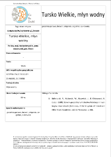 Tursko Wielkie, watermill