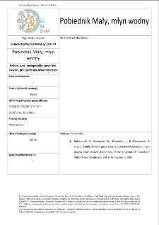 Pobiednik Mały, watermill