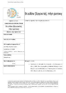 Brusiłów (Брусилів), steam mill