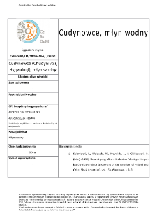 Cudynowce (Chudynivtsi,Чудинівці), watermill