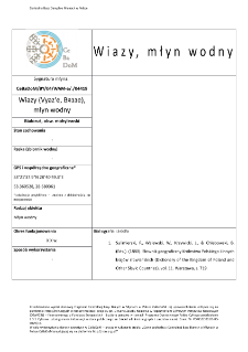 Wiazy (Vyaz'e, Вяззе), watermill