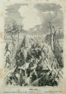 Livingstone, der Mission&auml;r : Erforschungsreisen im Innern Afrika's : in Schilderungen der bekanntesten &auml;lteren und neueren Reisen insbesondere der grossen Entdeckungen im s&uuml;dlichen Afrika w&auml;hrend der Jahre 1840-1856