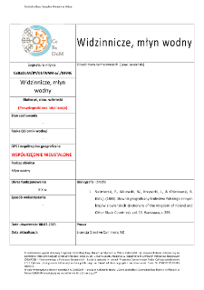 Widzinnicze, watermill