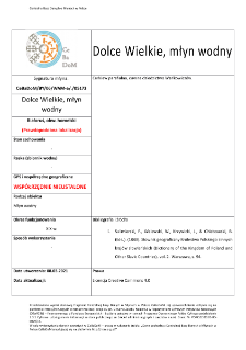 Dolce Wielkie, watermill
