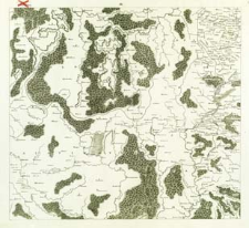 Regni Poloniae, Magni Ducatus Lituaniae Nova Mappa Geographica concessu Borussorum Regis. IX