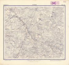 XXVIII - 21 : volynskoj gub. : roven. uězd.
