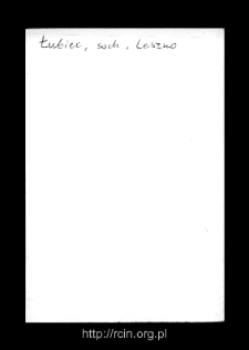 Łubiec. Files of Sochaczew district in the Middle Ages. Files of Historico-Geographical Dictionary of Masovia in the Middle Ages