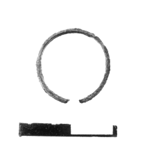 ring (Szelejewo) - chemical analysis