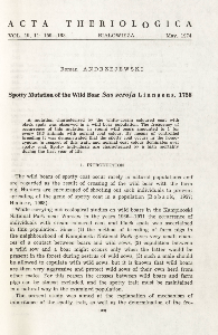 Spotty mutation of the wild boar Sus scrofa Linnaeus, 1758