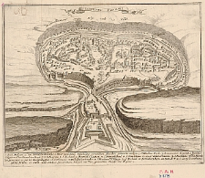 Kamieniec Podolski [plan perspektywiczny]