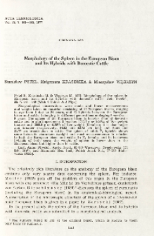 Bisoniana LXV. Morphology of the Spleen in the European Bison and Its Hybrids with Domestic Cattle