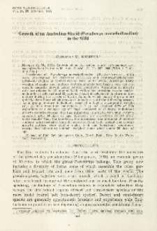 Growth of an Australian murid ( Pseudomys novaehollandiae ) in the wild