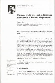 Why is mutation breeding still attractive for breeding of chrysanthemum?