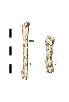 two nails, iron, fragments