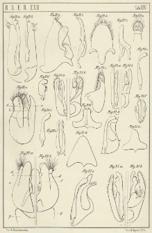 Etudes Hym&eacute;nopt&egrave;rologiques. [cz. 1]