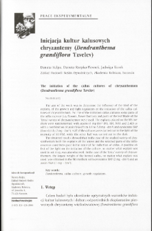 The initiation of the callus cultures (Dendranthema grandiflora Tzvelev)