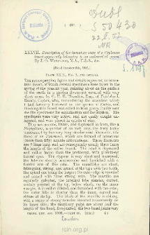 Description of the immature state of a Ceyloneseinsect apparently belonging to an undescribed genus