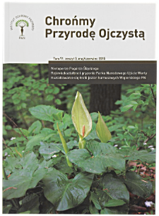 Występowanie obrazk&oacute;w alpejskich Arum alpinum w rezerwacie G&oacute;ra Chełm na Pog&oacute;rzu Strzyżowskim