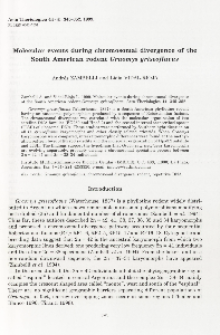 Molecular events during chromosomal divergence of the South American rodent Graomys griseoflavus