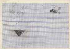 KZG, V 16 C D, 21 A B, plan archeologiczny wykopu